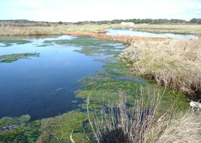 Villa Le Petit Bois Jard-sur-Mer