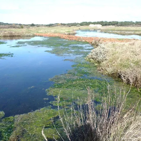 فيلة Le Petit Bois جارد سور مير